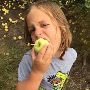 Meet your Posher, Adam